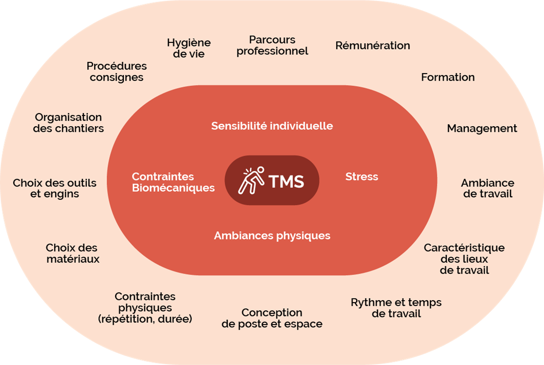 visuel_campagne_tms_facteurs.png